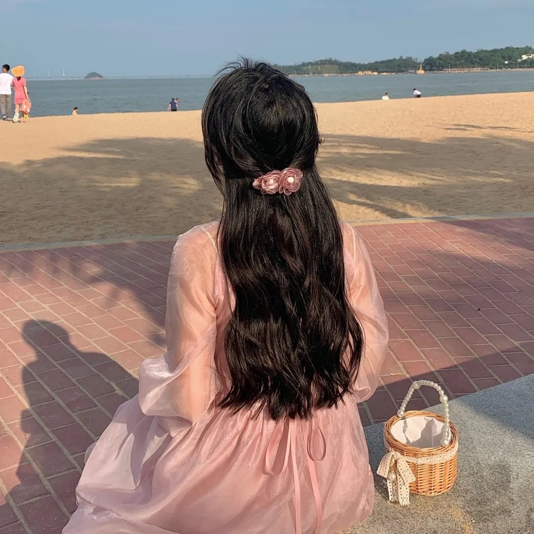 小查与寇弟的顶级冒险