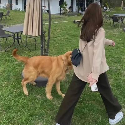 波哥大